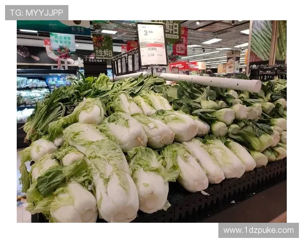 今日白菜行情价格分析及市场走势预测